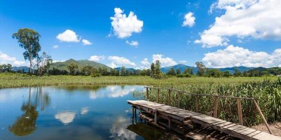嘉峪关草湖国家湿地公园,美的如此震撼