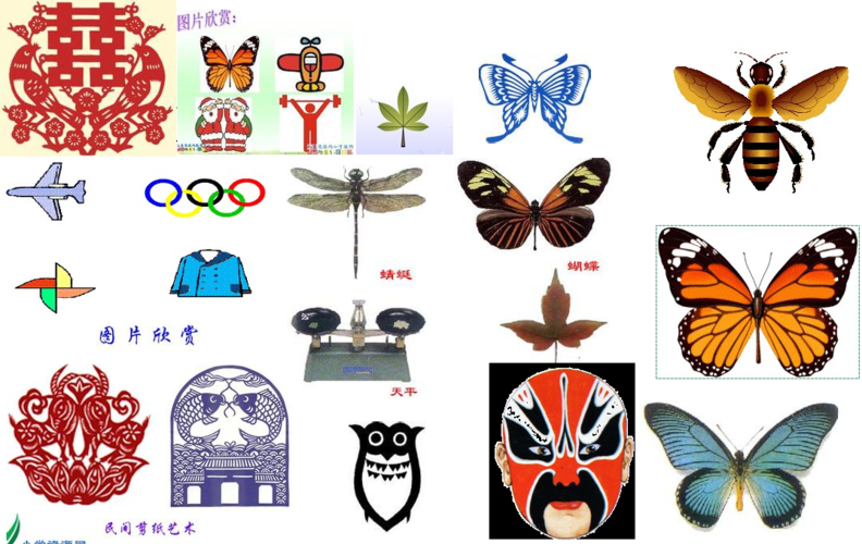 发现不一样的美 轴对称图形