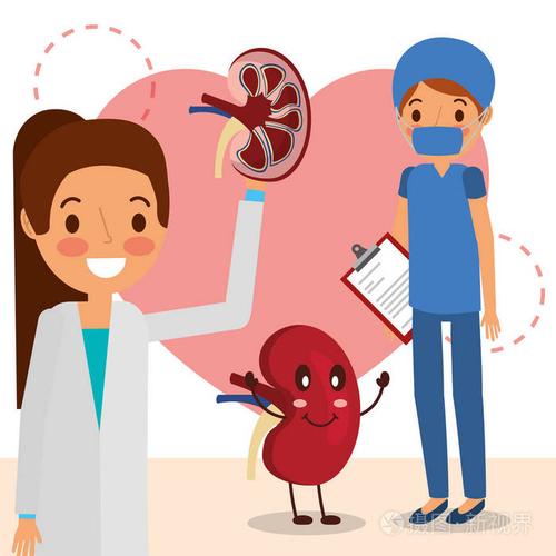 女医生和外科医生肾脏卡通