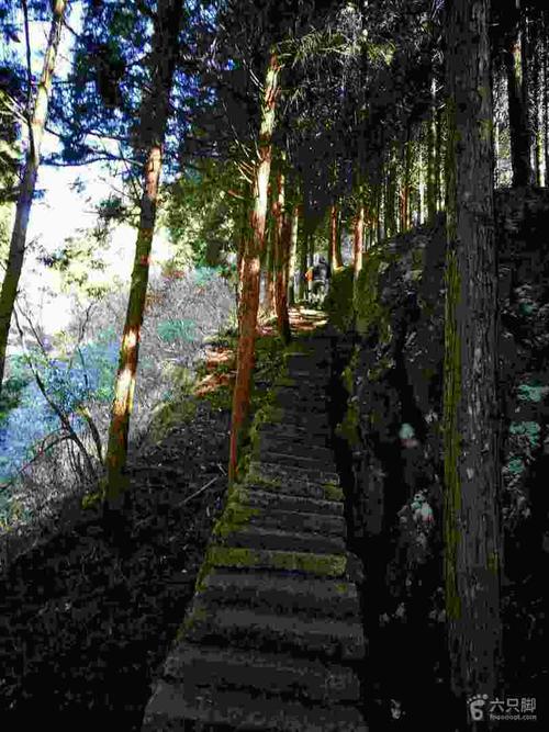 景宁敕木山休闲游未命名