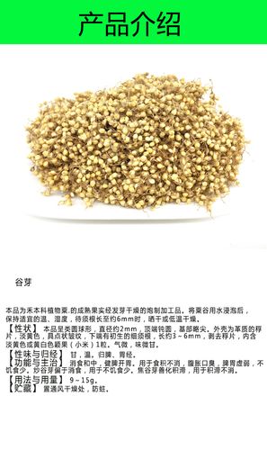 佰信堂批发中药材谷芽炒谷芽优质新货量大从优产地直销稻芽麦芽