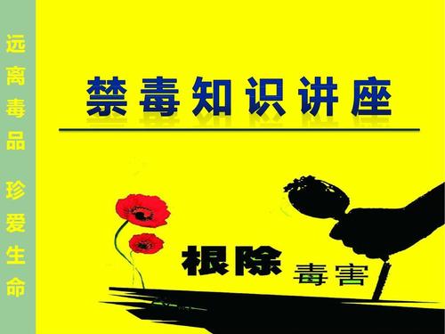 学校禁毒知识讲座(12.11)资料ppt