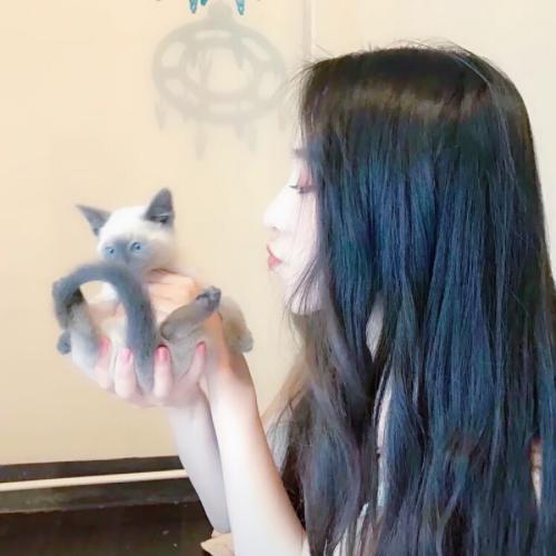 2021年最新美女头像,女生头像图片