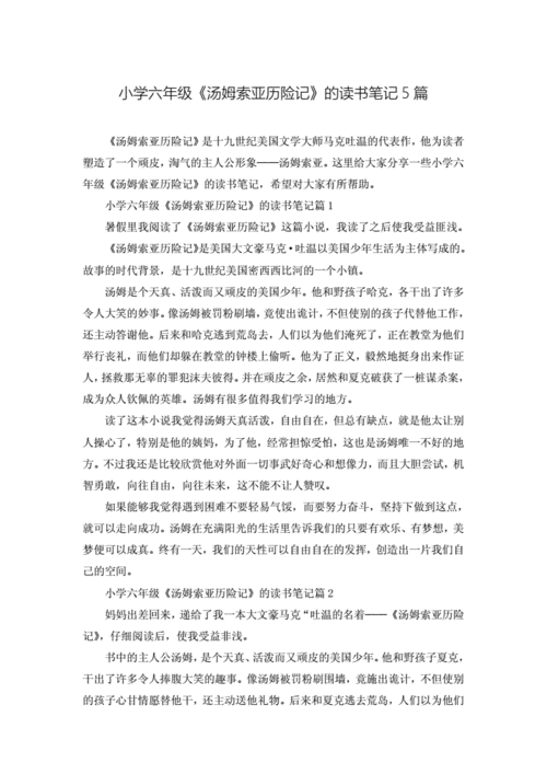 小学六年级汤姆索亚历险记的读书笔记5篇模板doc4页