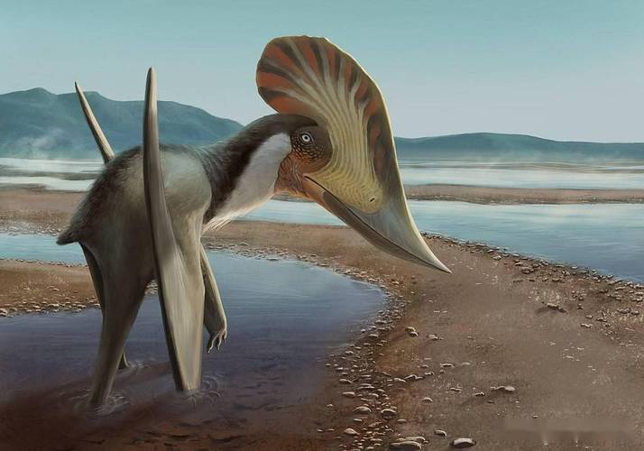2021古生物学家到底命名了多少种翼龙?_the_分类_"on