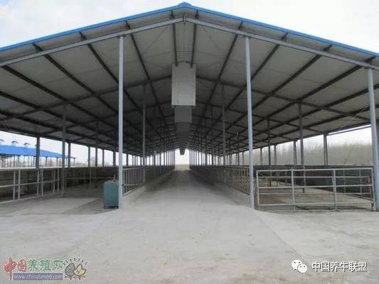 北方寒区开放式散栏育肥牛舍建设及配套工艺