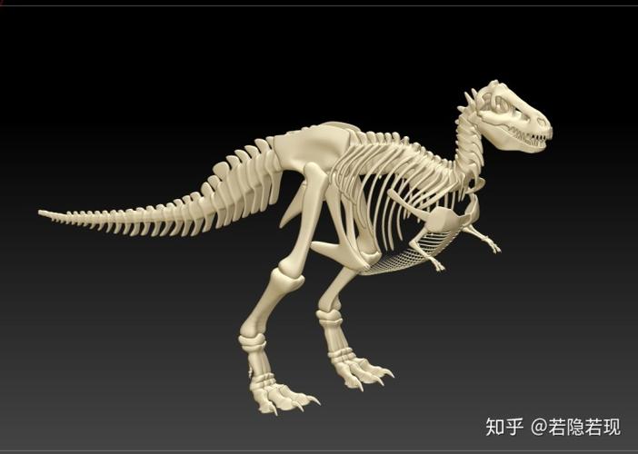 霸王龙骨架3d图下载恐龙骨骼3d图下载恐古化石骨头3d图下载