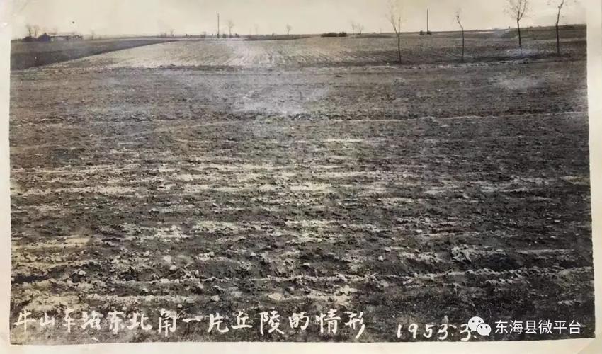 不可思议上世纪50年代东海县城老照片当我看到第三张被震惊了