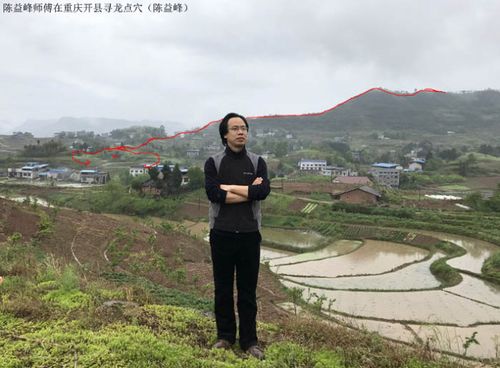 陈益峰:九星飞布安床法 - 美篇