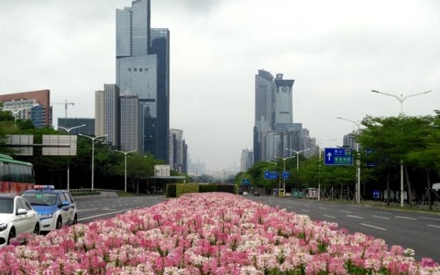 实拍深圳的城市道路景观,中国首个国际花园城市名不虚传