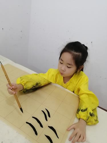 《书法入门—基础课》