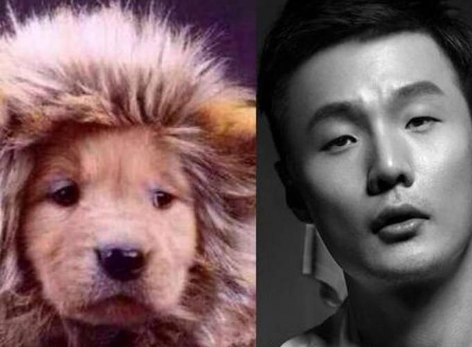 喵界李荣浩狗界孙红雷 盘点与动物撞脸的明星们