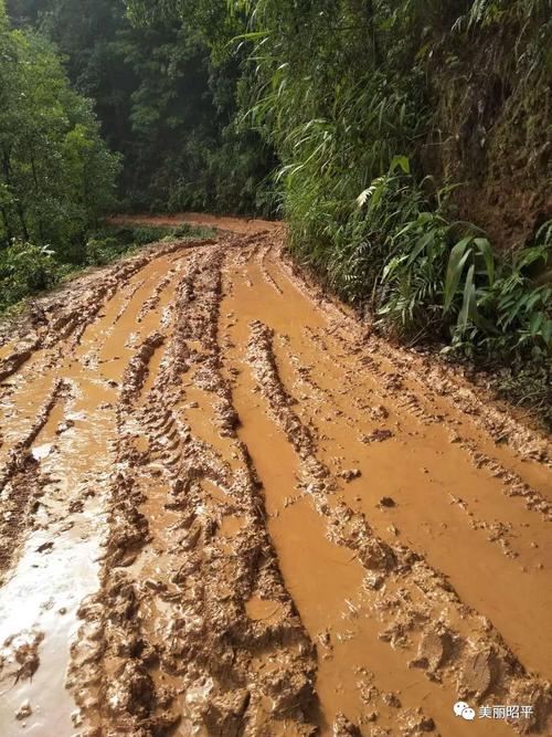 见过烂路但没见过昭平这个村这种烂泥巴路