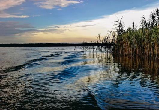 长兴岛横沙岛这些线路带你玩转两座迷人小岛