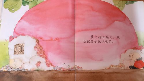 大萝卜房子