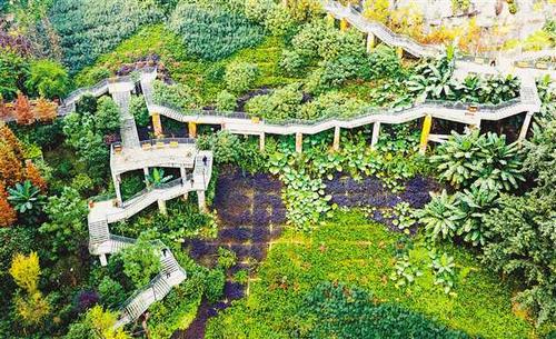 公园里的架空栈道