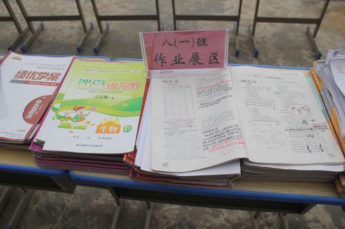 梅子铺九年制学校举办2018年秋季优秀作业作品展