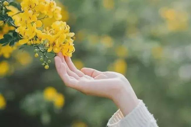 看淡|疲惫|不值得_网易订阅