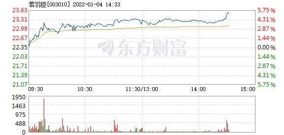 若羽臣1月4日盘中涨幅达5
