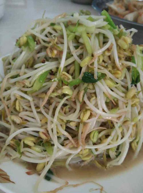 清炒豆芽怎么做_清炒豆芽的做法大全【好豆】