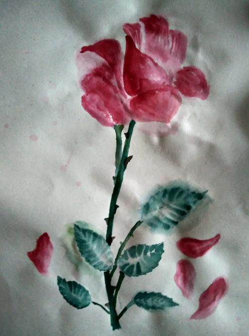 用素描纸画的水彩玫瑰