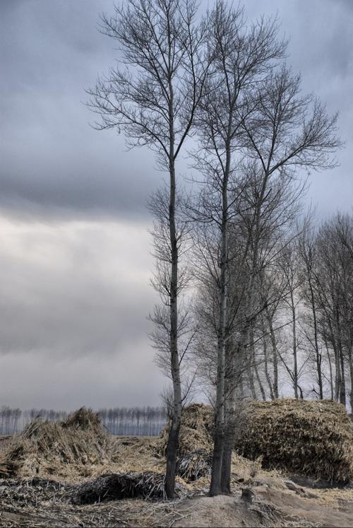 标题:最朴素的风景——农村风光掠影之四