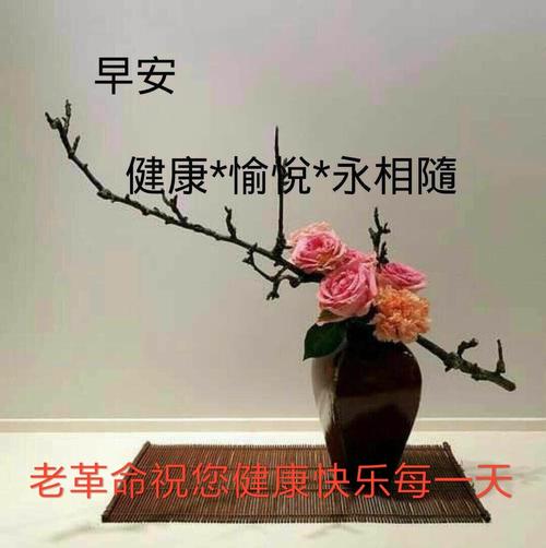 清晨的问候 - 美篇