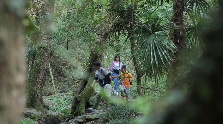 五毒之首重现江湖,《童趣大冒险》带你探秘远古巨虫!