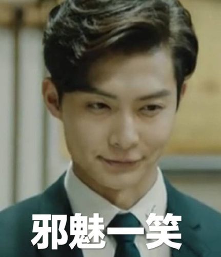 邪魅一笑 - 张日山表情包_张日山表情