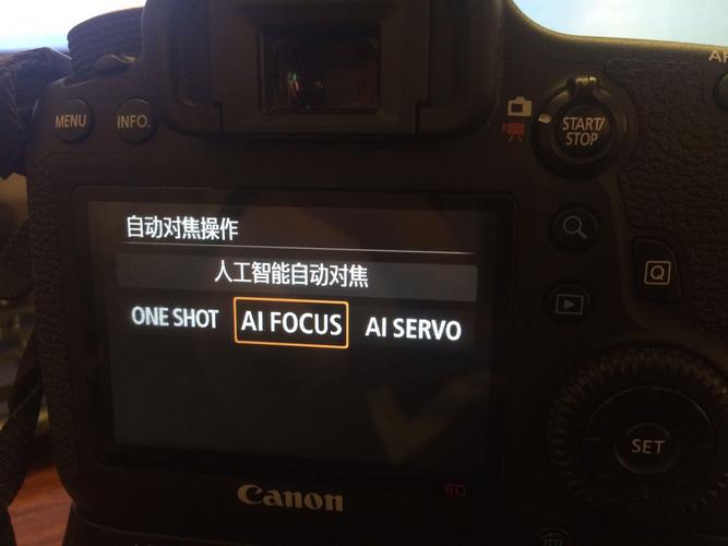 用佳能5d3拍摄鸟时,怎么选择人工智能伺服自动对焦中的那个形式