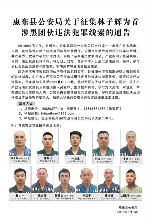 广东惠东公安:举报林子辉涉黑团伙线索最高可