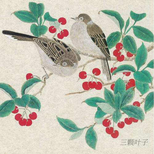 工笔花鸟装饰画素材仙鹤孔雀鹦鹉牡丹梅花等国画临摹设计参考m543