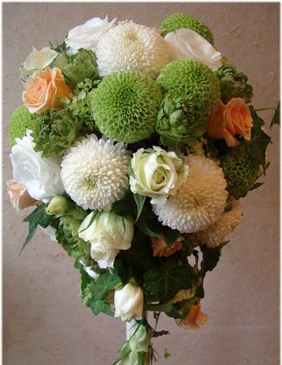 [转载]各色乒乓菊的手捧花