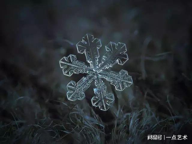 问你个问题,你知道雪花长什么样么?