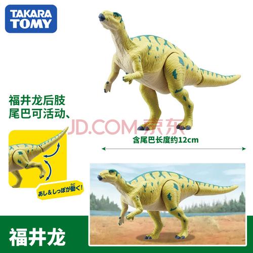 仿真动物模型男孩具霸王龙暴龙迅猛龙老虎定制 特别版福井龙155171