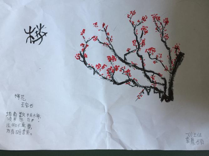 梅花香,红豆生,诗情画意在眼中!