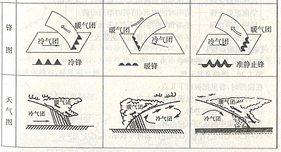 冷锋  暖锋  准静止锋