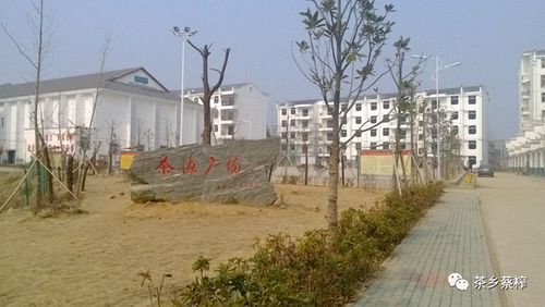 首页 黄陂要闻 要闻 机关党员干部,社区工作人员在蔡家榨社区开展大