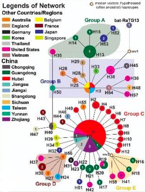 美国科学院发表论文,美亚欧分布三型新冠病毒,说明了