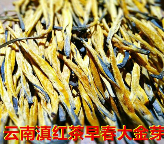 大金芽滇红茶特级云南滇红茶叶蜜香金芽古树红茶散茶浓香型100克