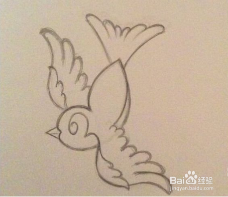 如何画一只彩色的小喜鹊?