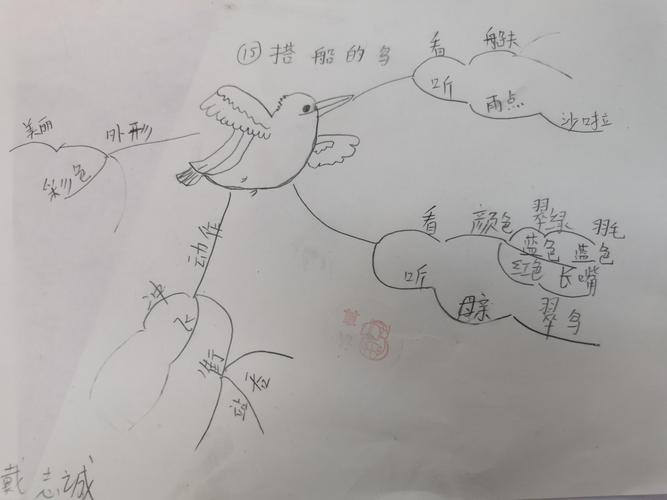 《搭船的鸟》——三(3)班思维导图展