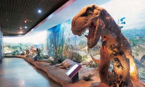 大连自然博物馆(4a)