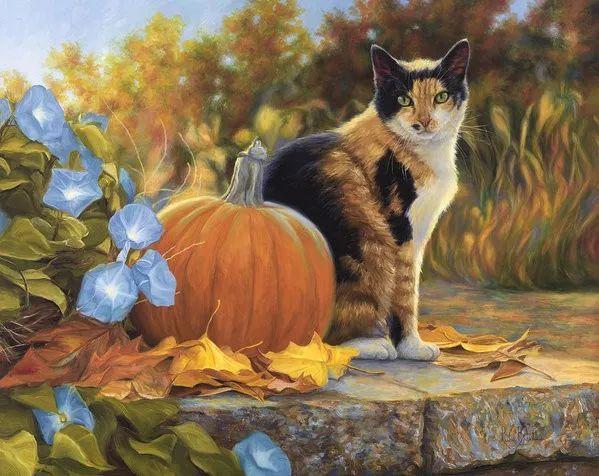 插画丨萌猫,可爱到心都化了|素描|水彩|油画|铅笔画_网易订阅