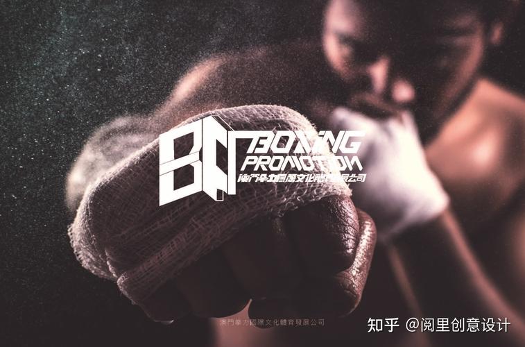 vi系统logo 字体设计 运动拳击拳力