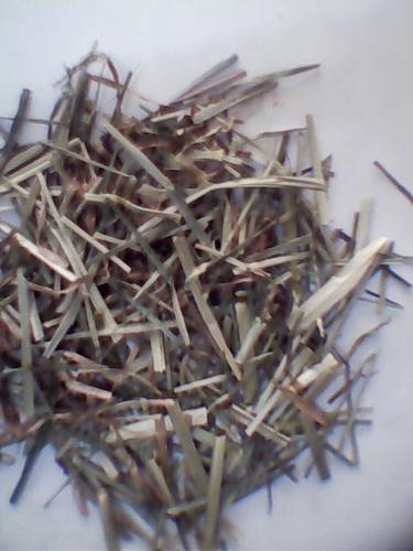 [转载]牛根草图片
