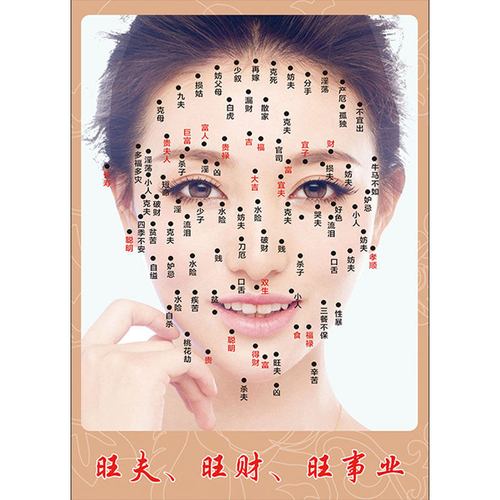 新点痣图片男女面痣图美容宣传画全身面部挂图海报脸部运程广告画