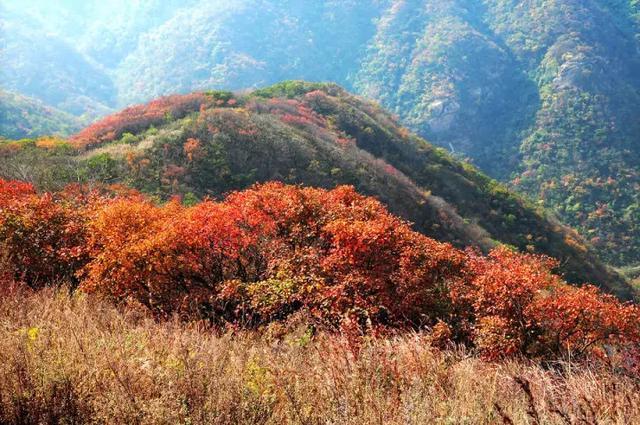52,棠溪源 地址:西平县境内