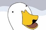 鸭子表情包