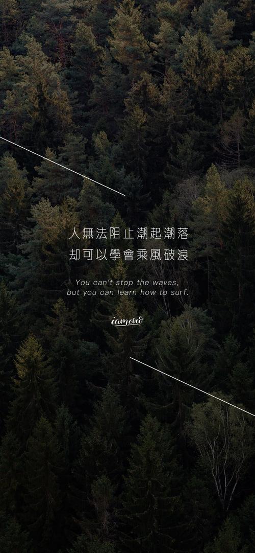精美壁纸‖来日方长,我们最高处见